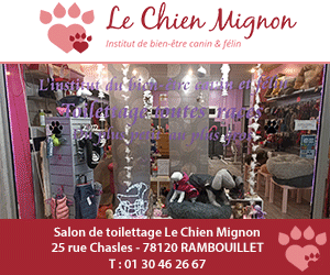 Le Chien Mignon  Rambouillet