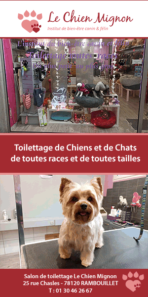 Le Chien Mignon  Rambouillet